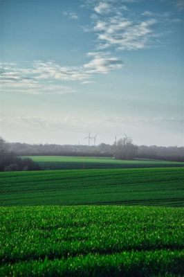 Tydzień Wulkaniczny w 270 n.e.  - Zjawisko Geologiczne Wpływające na Rozwój Rolnictwa i Migracje Ludności